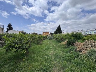 Terreno en venta en Patiño en Murcia