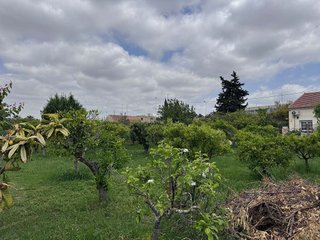 Terreno en venta en Patiño en Murcia