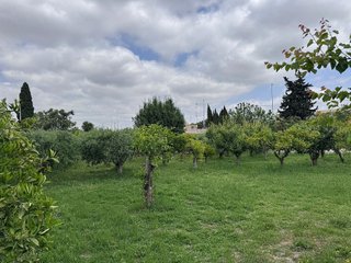 Terreno en venta en Patiño en Murcia