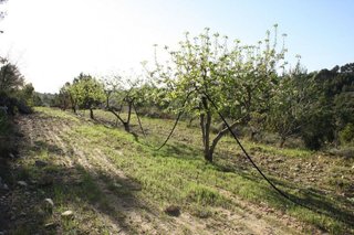 Solar en venta en Móra d´Ebre