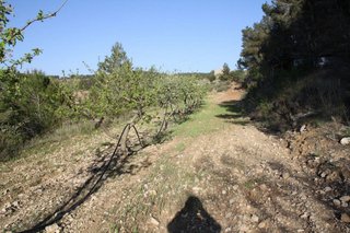 Solar en venta en Móra d´Ebre