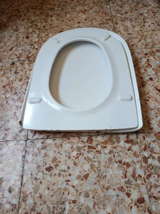 Tapa de WC Roca Blanca