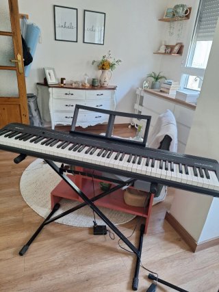 Piano Roland GO 88 Teclas