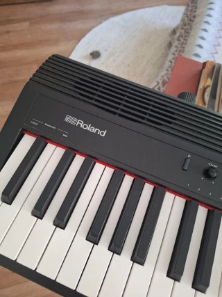 Piano Roland GO 88 Teclas