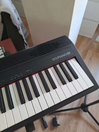 Piano Roland GO 88 Teclas
