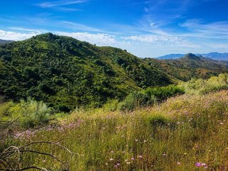Terreno en venta en Almogía