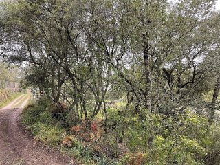 Terreno en venta en Artà en Artà