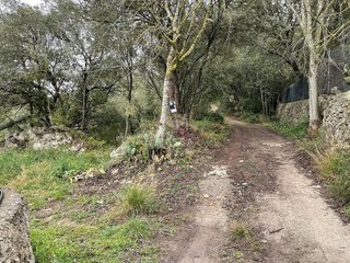Terreno en venta en Artà en Artà