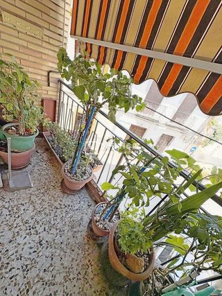 Piso en venta en Molina de Segura ciudad en Molina de Segura