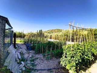 Terreno en venta en Nueva Carteya