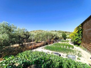 Terreno en venta en Nueva Carteya