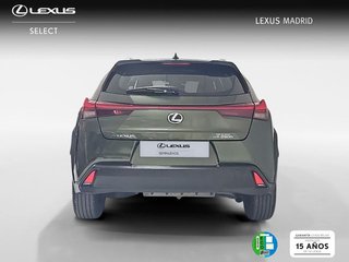 Lexus UX 2.0 250h Business