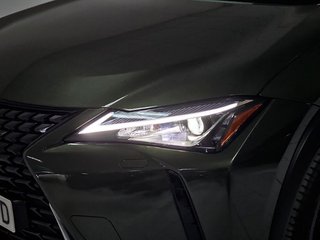Lexus UX 2.0 250h Business