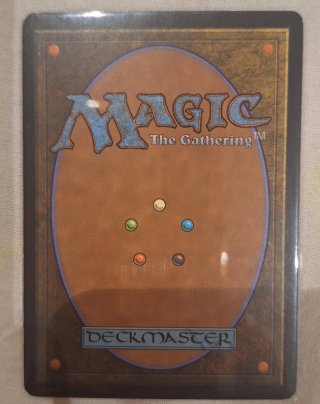 Carta Tarnished Citadel Foil Original
