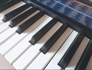 Teclado Casio CA-110