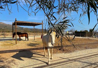 Casa en venta en Pinós