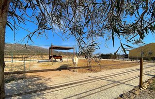 Casa en venta en Pinós
