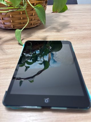 Apple iPad mini 1 (16GB, WiFi) Nero