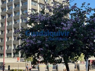 Piso en venta en La Buhaira en Sevilla