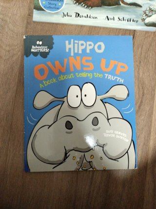 Lote libros infantiles ingles