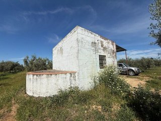 Terreno en venta en Aznalcázar