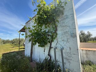 Terreno en venta en Aznalcázar