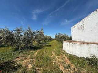 Terreno en venta en Aznalcázar