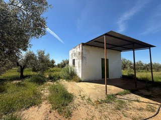 Terreno en venta en Aznalcázar