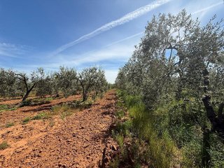 Terreno en venta en Aznalcázar