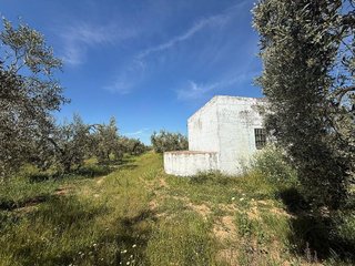 Terreno en venta en Aznalcázar