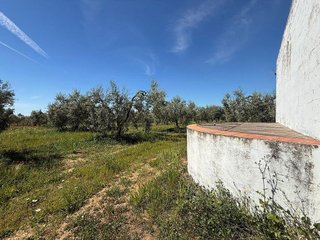 Terreno en venta en Aznalcázar