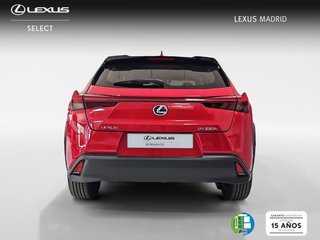 Lexus UX 2.0 250h Business