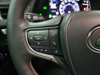 Lexus UX 2.0 250h Business