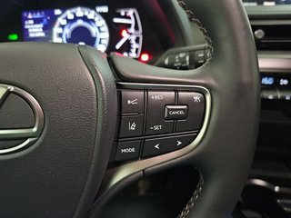 Lexus UX 2.0 250h Business
