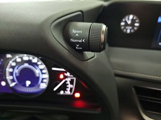 Lexus UX 2.0 250h Business