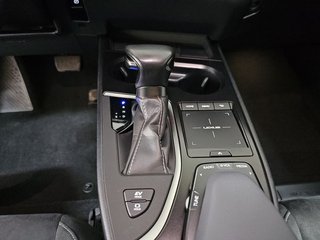 Lexus UX 2.0 250h Business