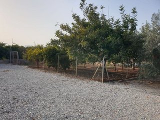 Terreno en venta en Onda