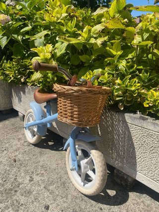 Bicicleta infantil azul con cesta