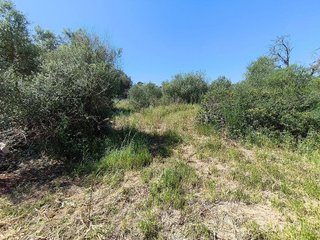 Casa pareada en venta en Algaida