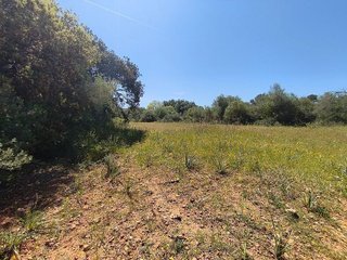 Casa pareada en venta en Algaida