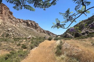 Casa rural en venta en Crevillent