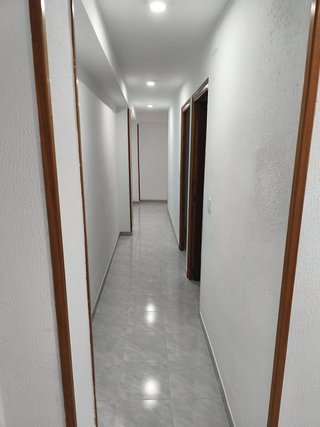 Piso en alquiler en Algemesí