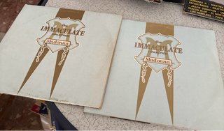 Madonna - The Immaculate Collection Doble Vinilo L