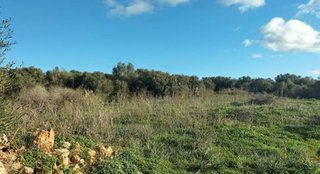 Terreno en venta en Campos