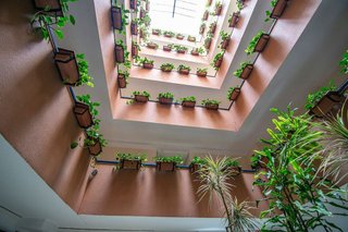 Ático en venta en La Carolina-Guadalpín en Marbella