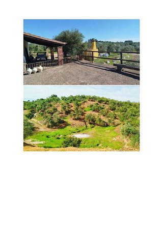 Terreno en venta en Hornachuelos