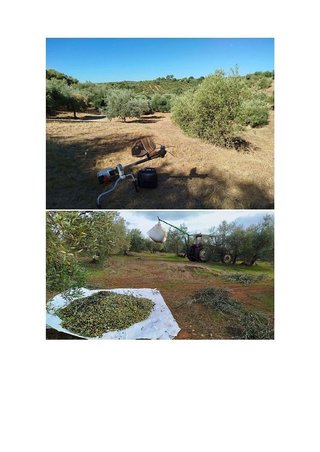 Terreno en venta en Hornachuelos
