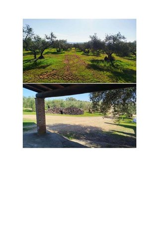 Terreno en venta en Hornachuelos