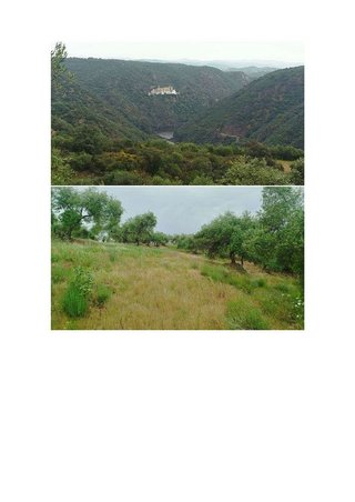 Terreno en venta en Hornachuelos