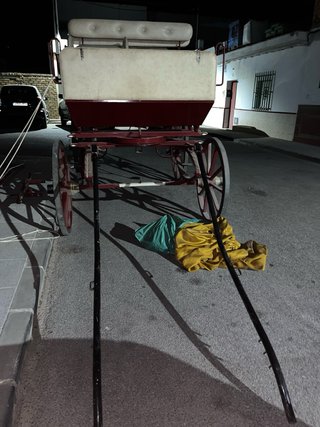 Coche de caballos